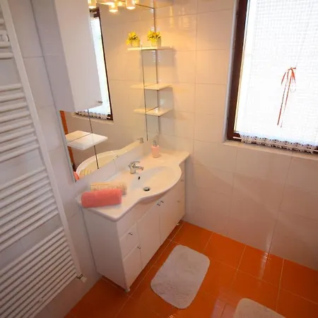 Apartamento In Porec/istrien 10117